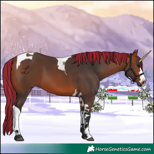 Horse Color:Painted Bay Tobiano 