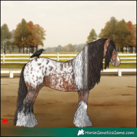 Horse Color:Amber Champagne Sabino Tobiano Blanket and Bay Sabino Tobiano Blanket