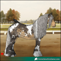 Horse Color:White Spotted Silver Smoky Black 