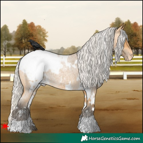 Horse Color:White Spotted Silver Buckskin Roan Appaloosa 
