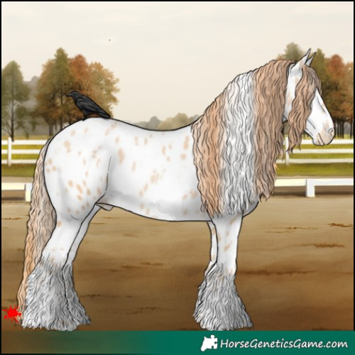 Horse Color:White Spotted Smoky Black Pearl Appaloosa 