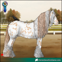 Horse Color:White Spotted Red Dun Near Leopard 