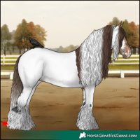 Horse Color:White Spotted Brown Dun Near Fewspot 