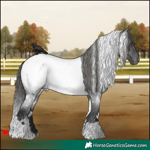 Horse Color:White Spotted Blue Roan Near Fewspot Rabicano 