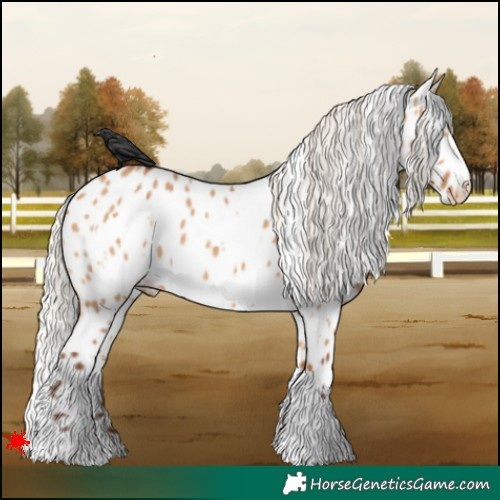 Horse Color:White Spotted Silver Bay Dun Near Leopard 
