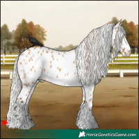 Horse Color:White Spotted Silver Bay Dun Appaloosa