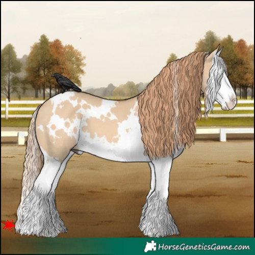 Horse Color:White Spotted Red Dun Splash 