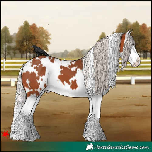 Horse Color:White Spotted Silver Bay Splash