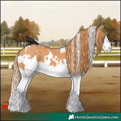 Horse Color:White Spotted Chestnut Splash