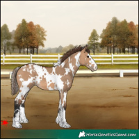Horse Color:White Spotted Bay Dun Varnish 