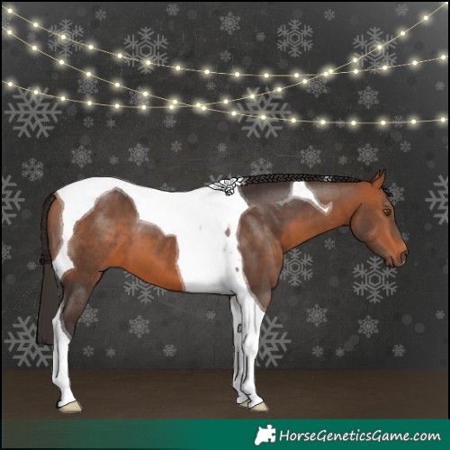 Horse Color:Bay Tobiano 