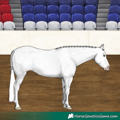 Horse Color:White Spotted Silver Sable Champagne Sabino 