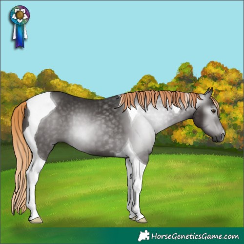 Horse Color:Gray Liver Chestnut Tobiano 
