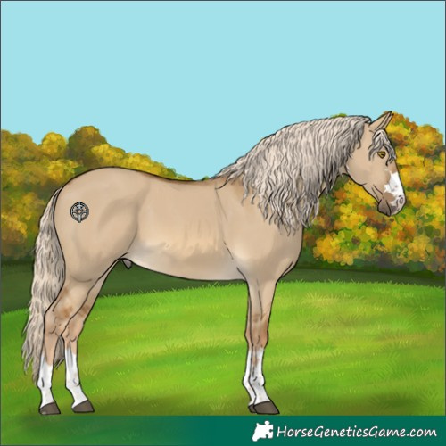 Horse Color:Chocolate Palomino Dun Rabicano 