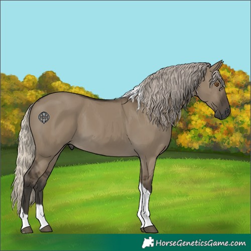 Horse Color:Gray Silver Smoky Grullo Tobiano 