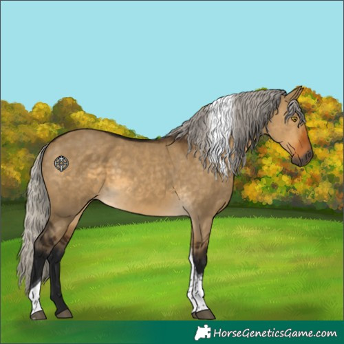Horse Color:Gray Silver Buckskin Dun Tobiano 