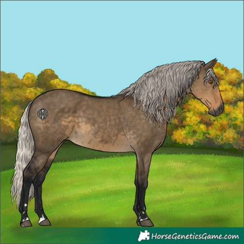 Horse Color:Gray Silver Smoky Grullo Rabicano
