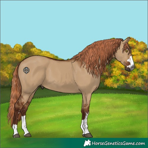 Horse Color:Gray Red Dun 
