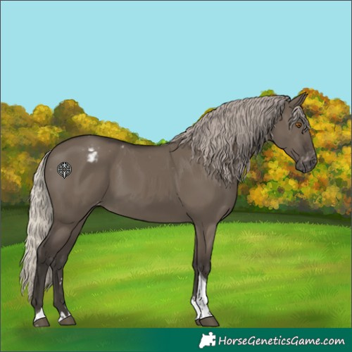 Horse Color:Gray Silver Grullo Tobiano Varnish 