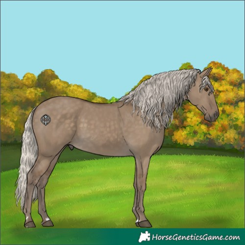 Horse Color:Silver Smoky Grullo Rabicano 
