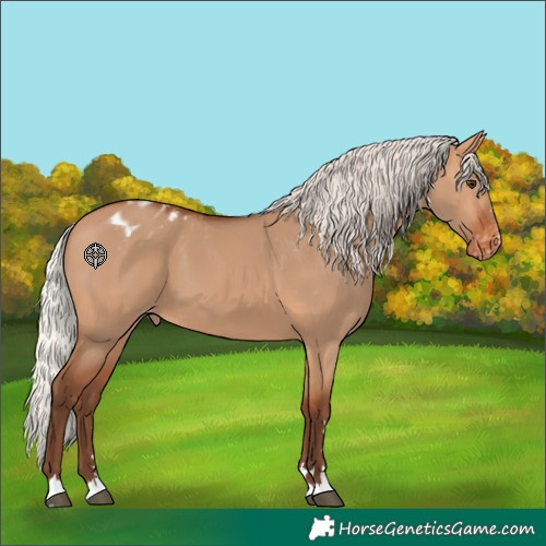 Horse Color:Silver Bay Dun Blanket 