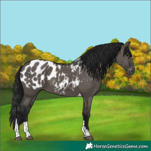 Horse Color:Gray Smoky Grullo Tobiano Blanket 