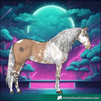 Horse Color:Silver Bay Dun Tobiano Skewed Appaloosa