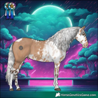Horse Color:Silver Bay Dun Tobiano Skewed LP Spotted 
