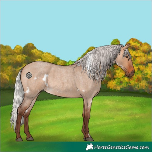 Horse Color:White Spotted Silver Bay Roan Dun 