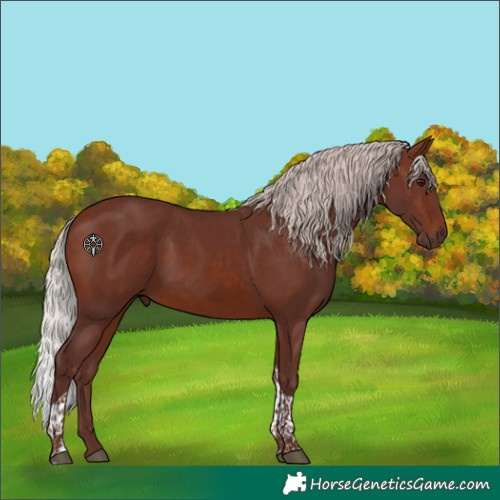 Horse Color:Chocolate Silver Brown Tobiano 