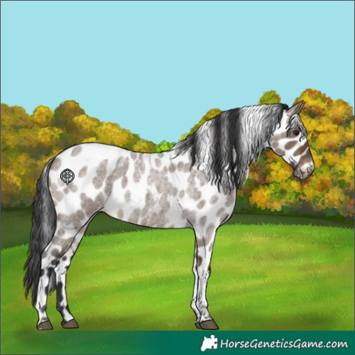 Horse Color:Brown Roan Dun Tobiano Skewed LP Spotted 