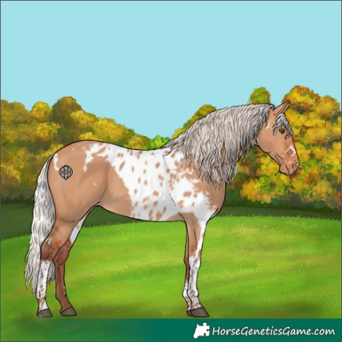Horse Color:White Spotted Chocolate Silver Bay Dun Tobiano Skewed LP Spotted 