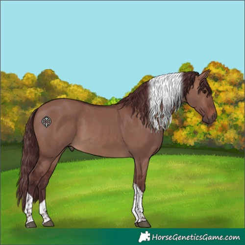 Horse Color:Chocolate Brown Dun Tobiano 