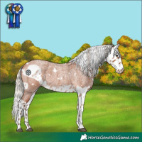 Horse Color:White Spotted Silver Bay Roan Skewed LP Spotted