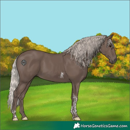 Horse Color:Silver Black Tobiano 
