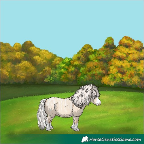 Horse Color:Powder White Silver Classic Champagne Dun 