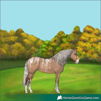Horse Color:Powder White Silver Bay Dun