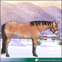 Horse Color:Bay Ice 