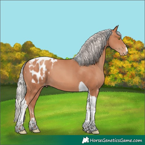 Horse Color:Silver Sable Champagne Tobiano Appaloosa 