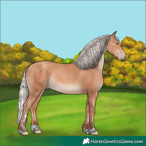 Horse Color:Silver Amber Champagne Rabicano 