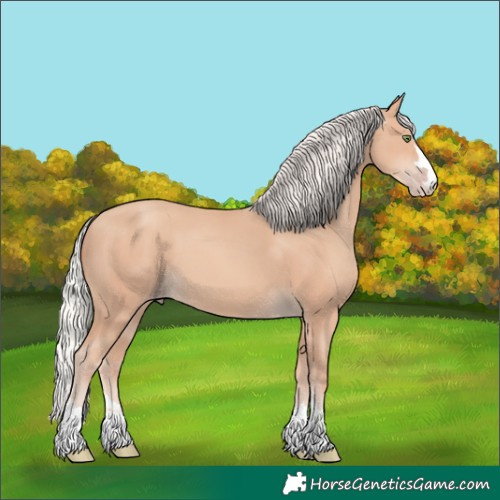 Horse Color:Silver Amber Champagne