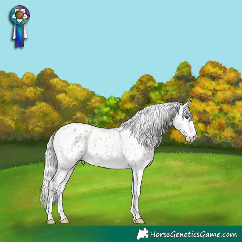 Horse Color:Powder White Silver Brown Dun Leopard 