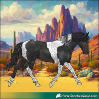 Horse Color:Brown Tobiano 