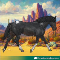 Horse Color:Brown Tobiano 