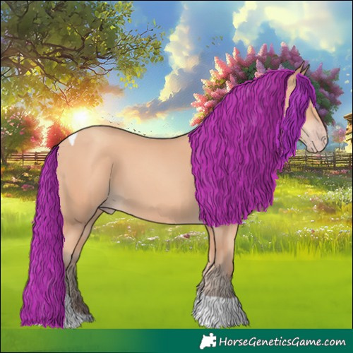Horse Color:Amber Champagne Tobiano