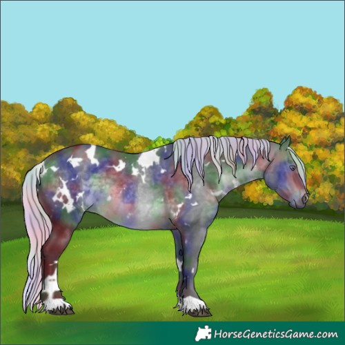 Horse Color:Nacre White Spotted Silver Brown Chinchilla Rabicano