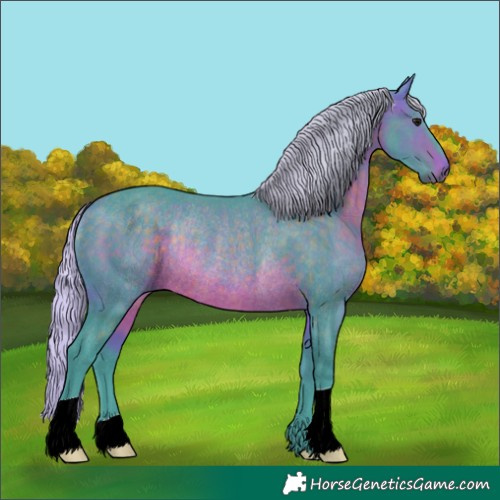 Horse Color:Watercolor Silver Brown Rabicano 