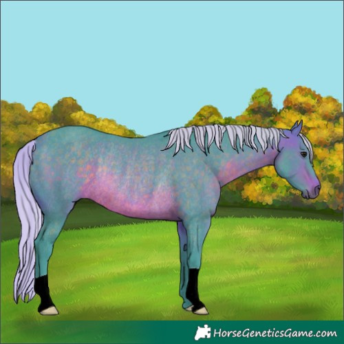 Horse Color:Watercolor Silver Brown Rabicano 