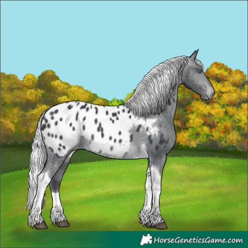 Horse Color:Silver Brown Chinchilla Tobiano Blanket Rabicano 