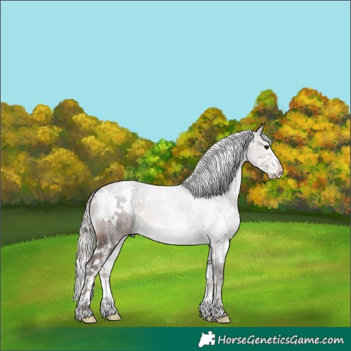 Horse Color:White Spotted Silver Brown Ice 
